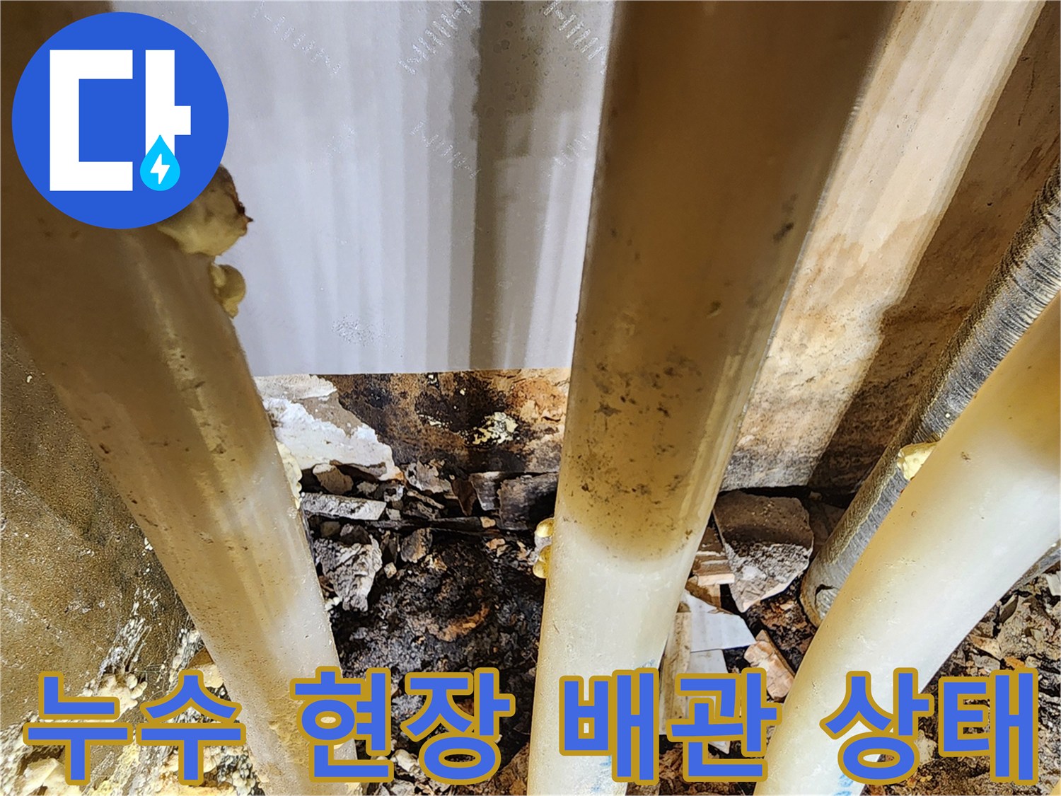 아파트-누수-탐지-중-발견된-습기로-가득한-배관-주변-환경