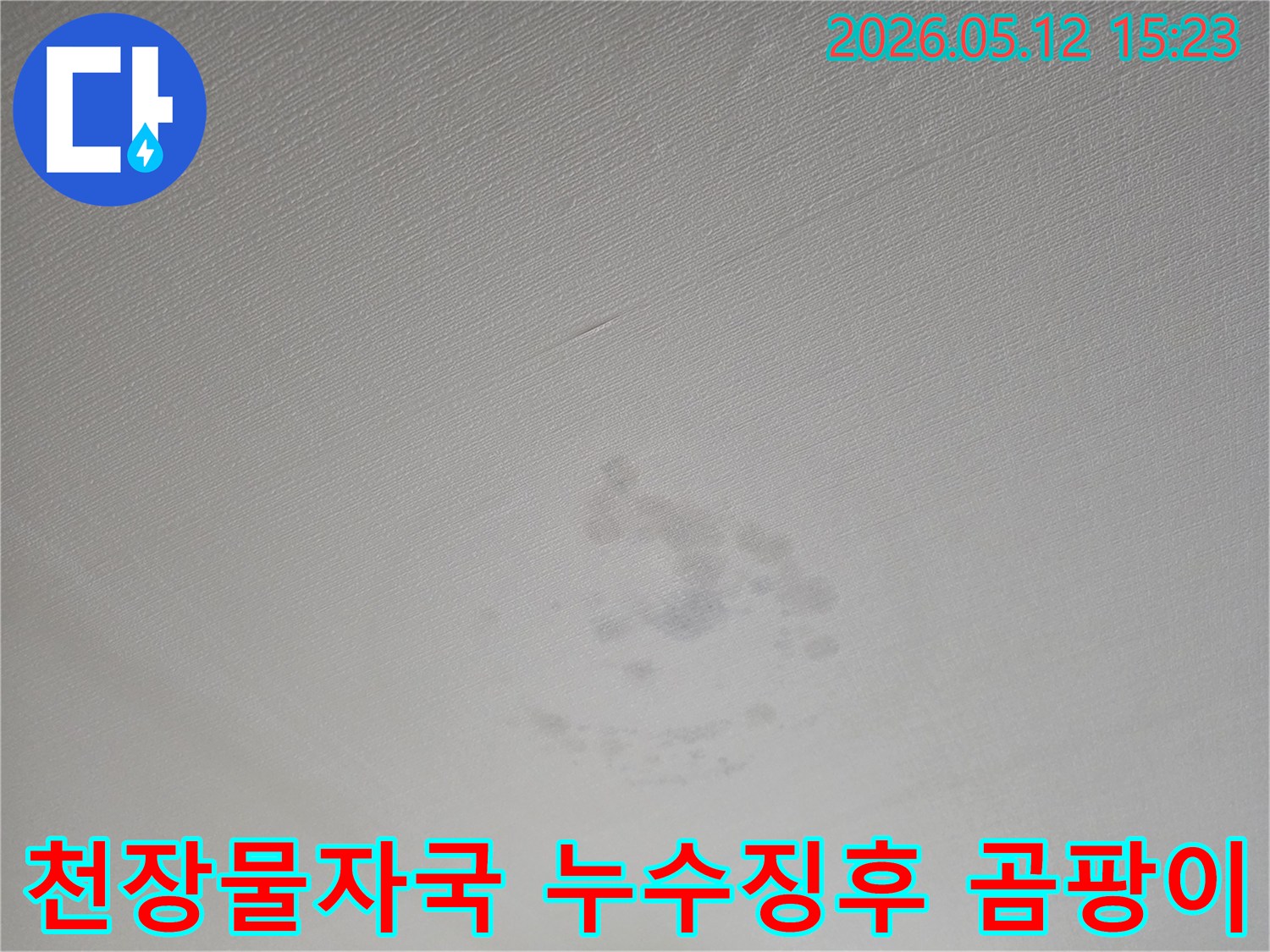 천장에 생긴 물자국-누수 징후-곰팡이 발생-전문적인 진단이 시급한 상태