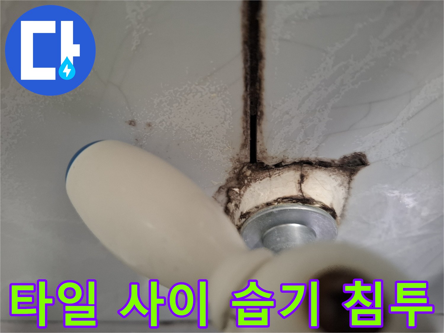 배수구-옆-타일-줄눈-사이로-스며든-습기와-오염