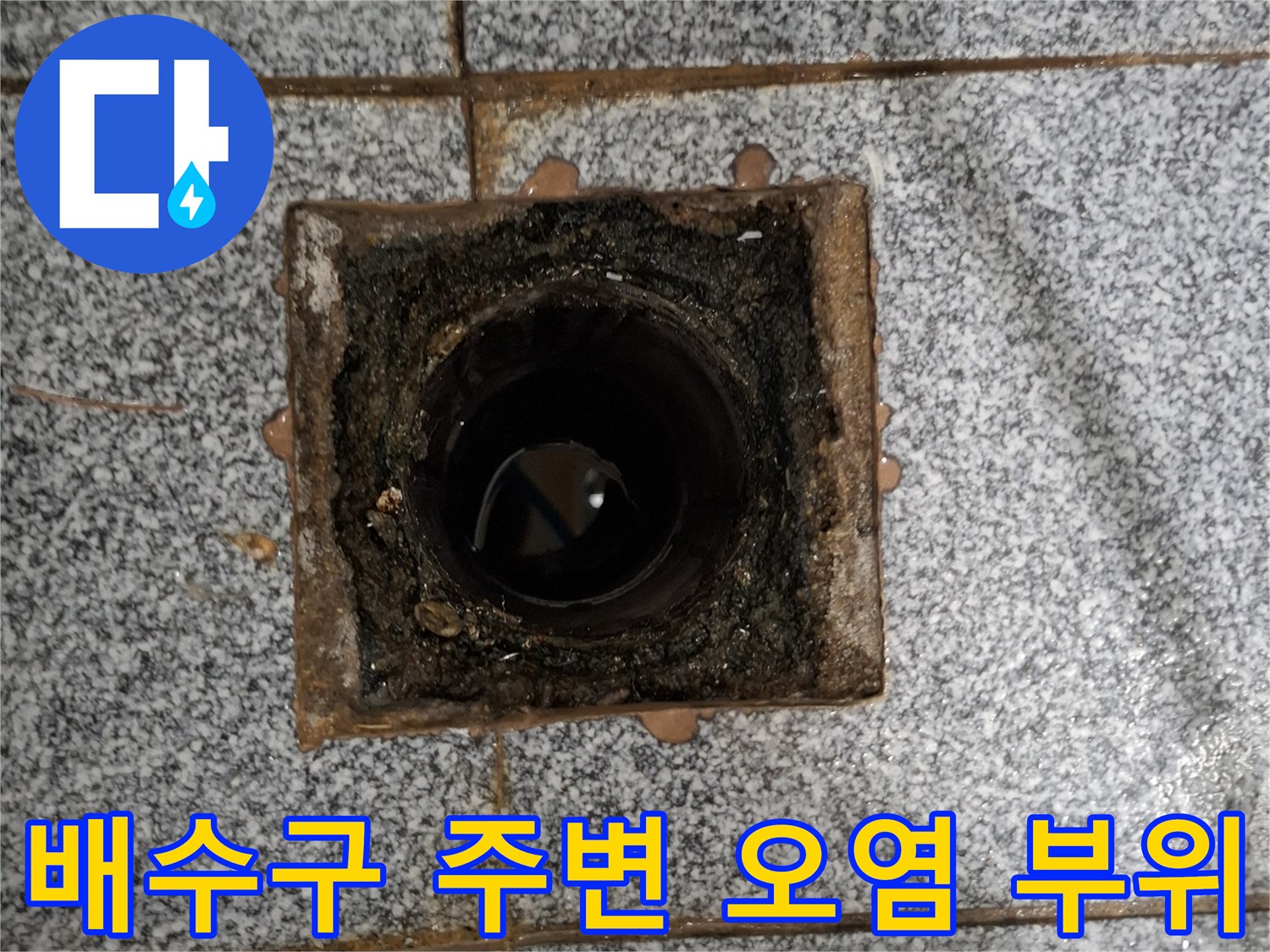 배수구-주변에-쌓인-이물질과-젖은-타일-모습