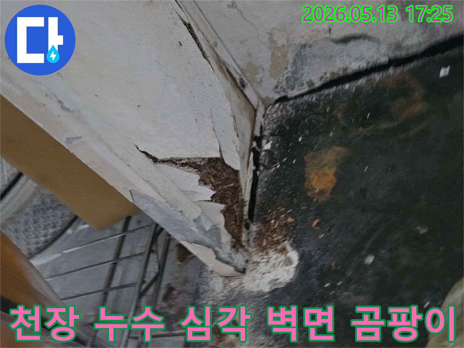 천장 누수로 인해 벽면 페인트가 벗겨지고 곰팡이가 발생한 심각한 상태를 보여주는 이미지입니다-누수 탐지-보수 공사-전문가 진단