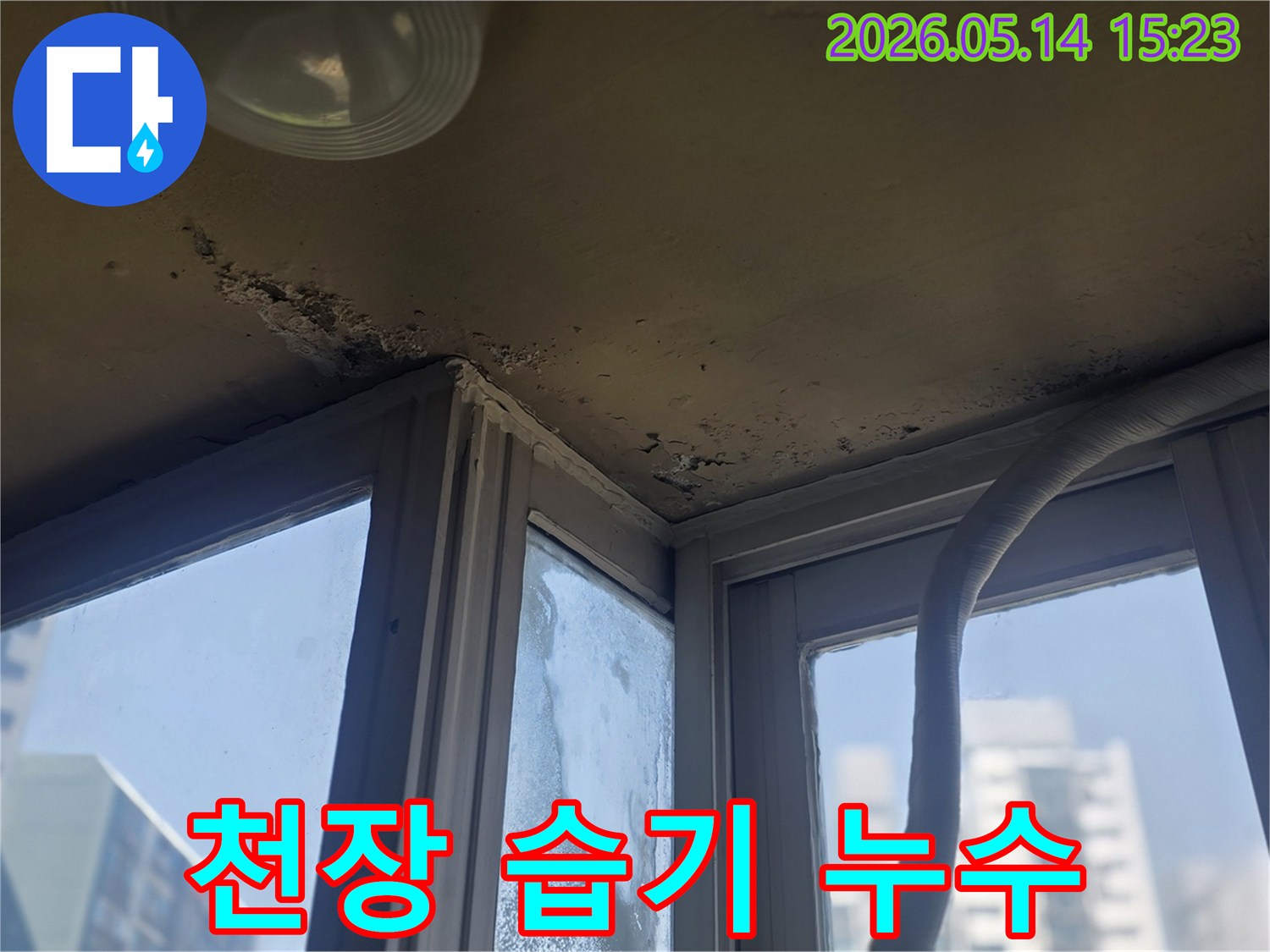 천장 모서리에 습기로 인한 얼룩과- 곰팡이가 발생한 모습을 보여주는 이미지입니다