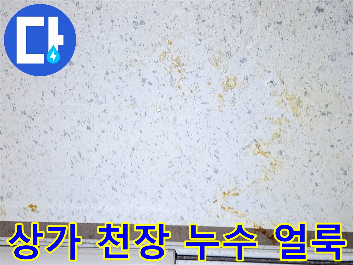 강서구 상가 천장의 누수 흔적과 황색 얼룩 상태를 보여주는 사진입니다.