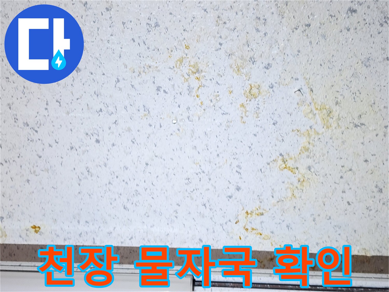 상가-천장재-누수-침투-흔적-사진