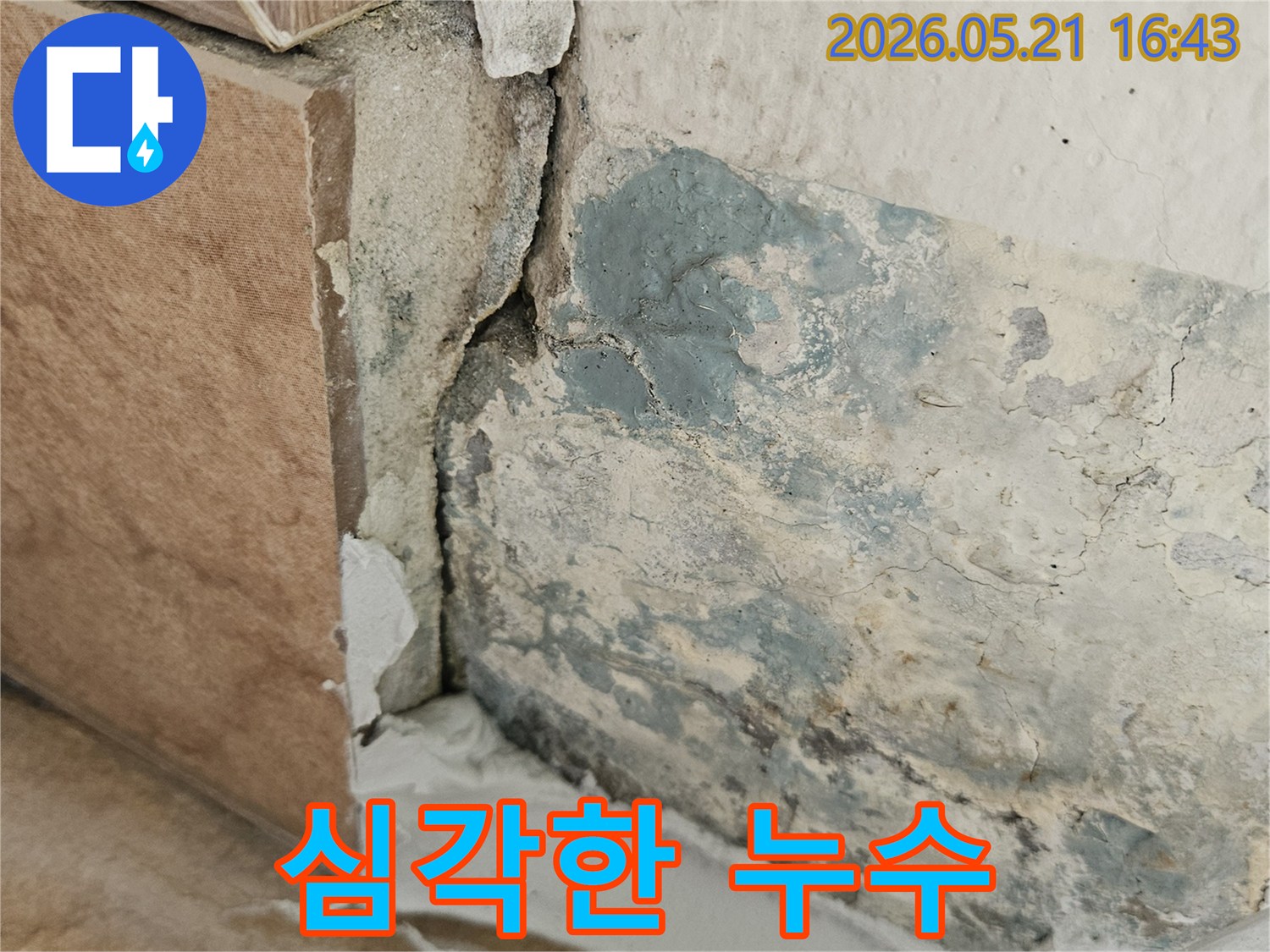 물자국과-함께-곰팡이가-번식하고-있는-천장-모서리