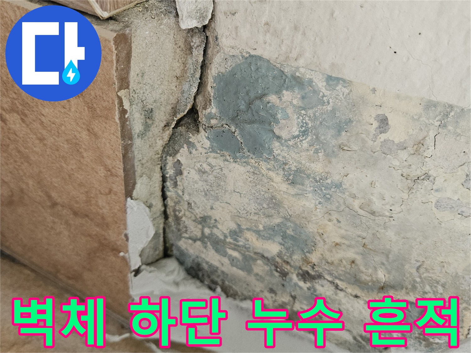 습기로-오염된-벽면-하단부와-타일-경계선