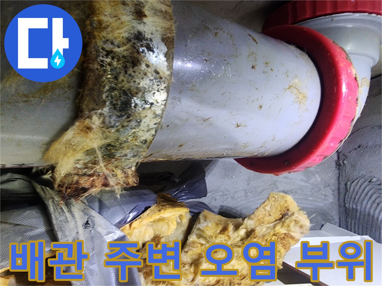물샘-현상이-발생한-오수관-주변의-축축한-상태