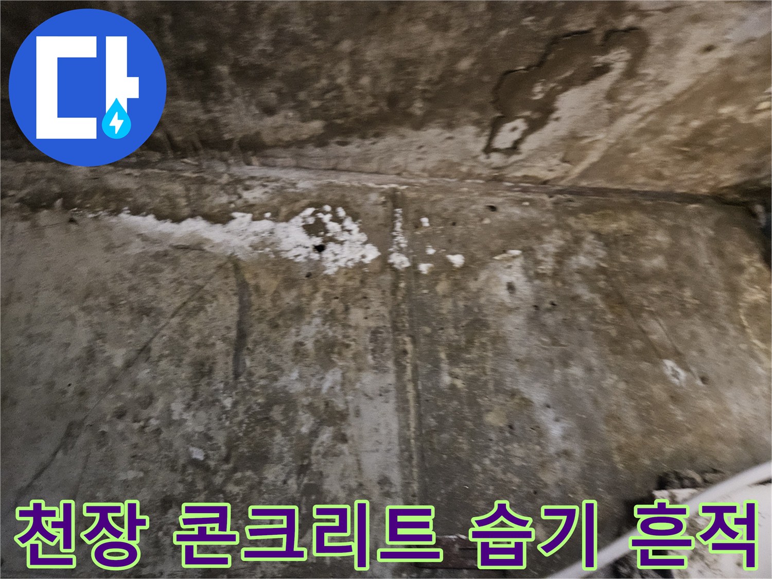 강동구 아파트 천장-콘크리트 표면의 습기와 부식 상태