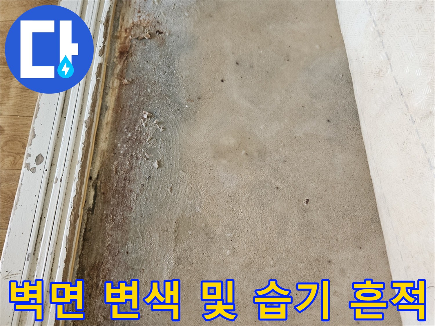 누수로 인한 벽면의 얼룩과 습기 침투 상태를 보여주는 사진