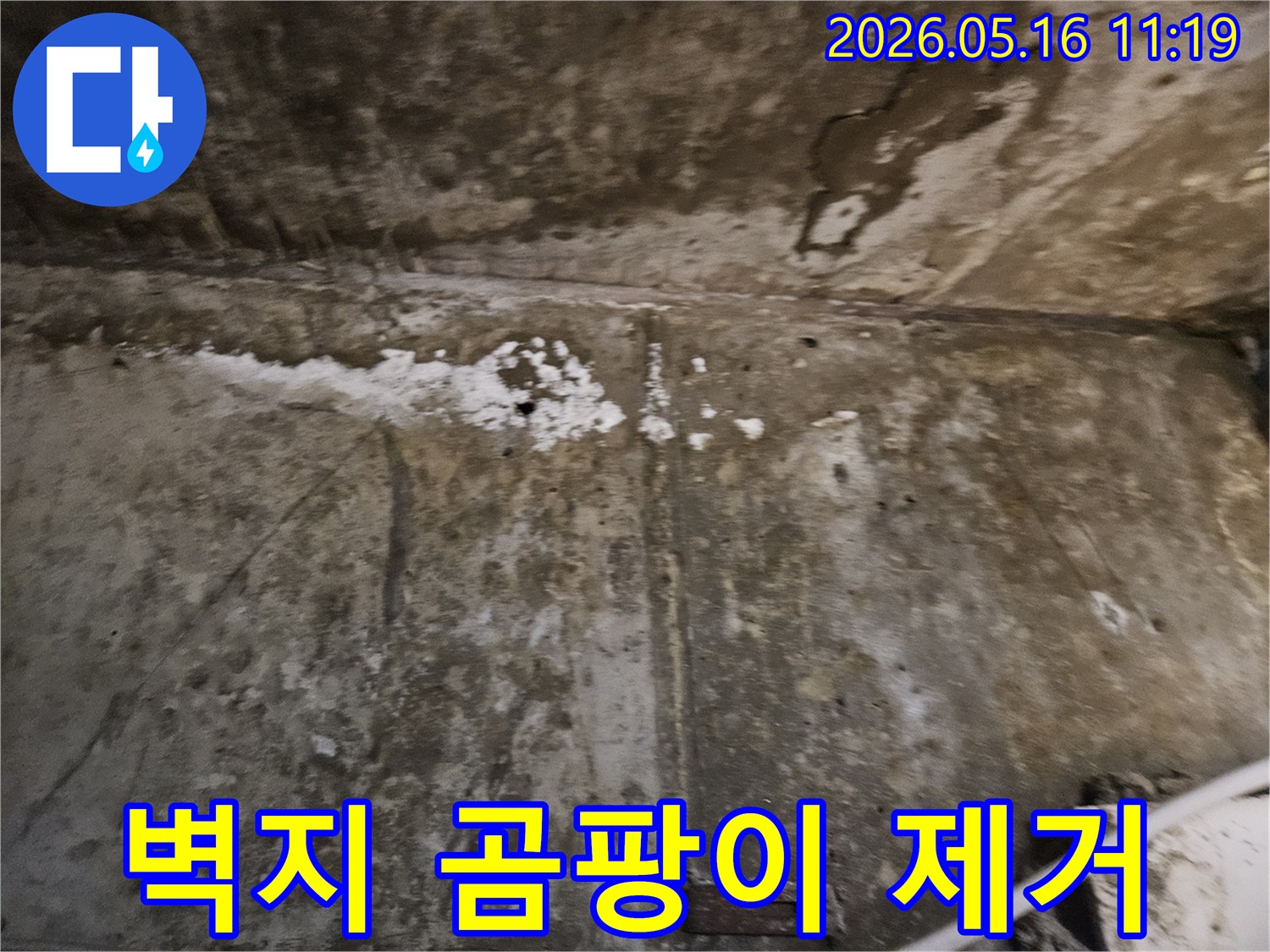 누수로 인해-벽지에 발생한-심각한 곰팡이를-제거하고-방지하기 위한-작업 현장