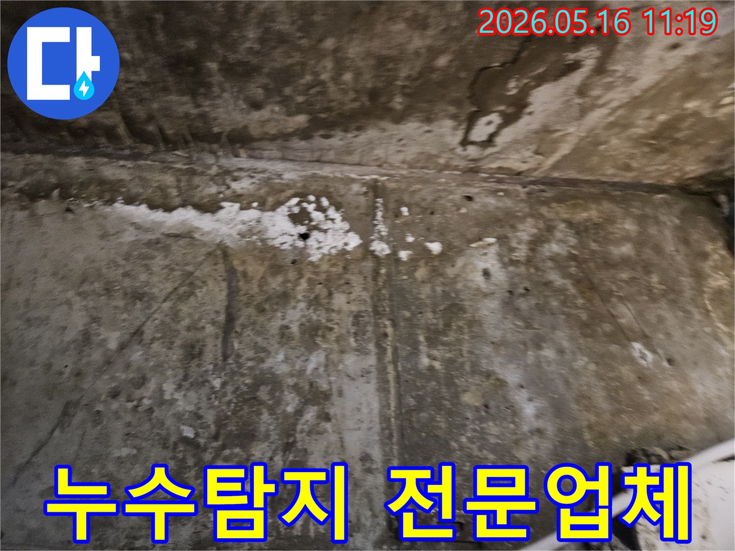 누수로 인해-심하게 손상된-벽면을-전문적으로 진단하고-해결하는-누수탐지 전문가의-모습