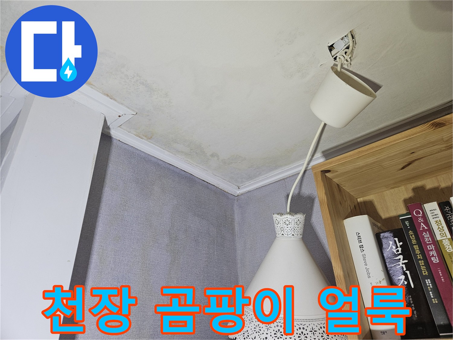 천장 모서리 부근의 곰팡이와 물기 흔적 사진