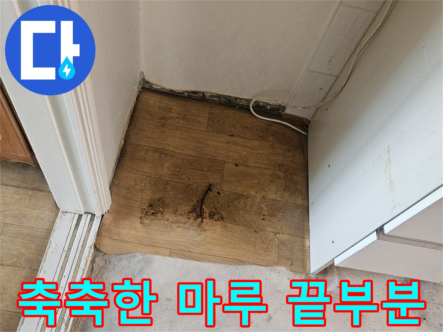 물샘 현상으로 인해 변색된 아파트 거실 마루와 벽면