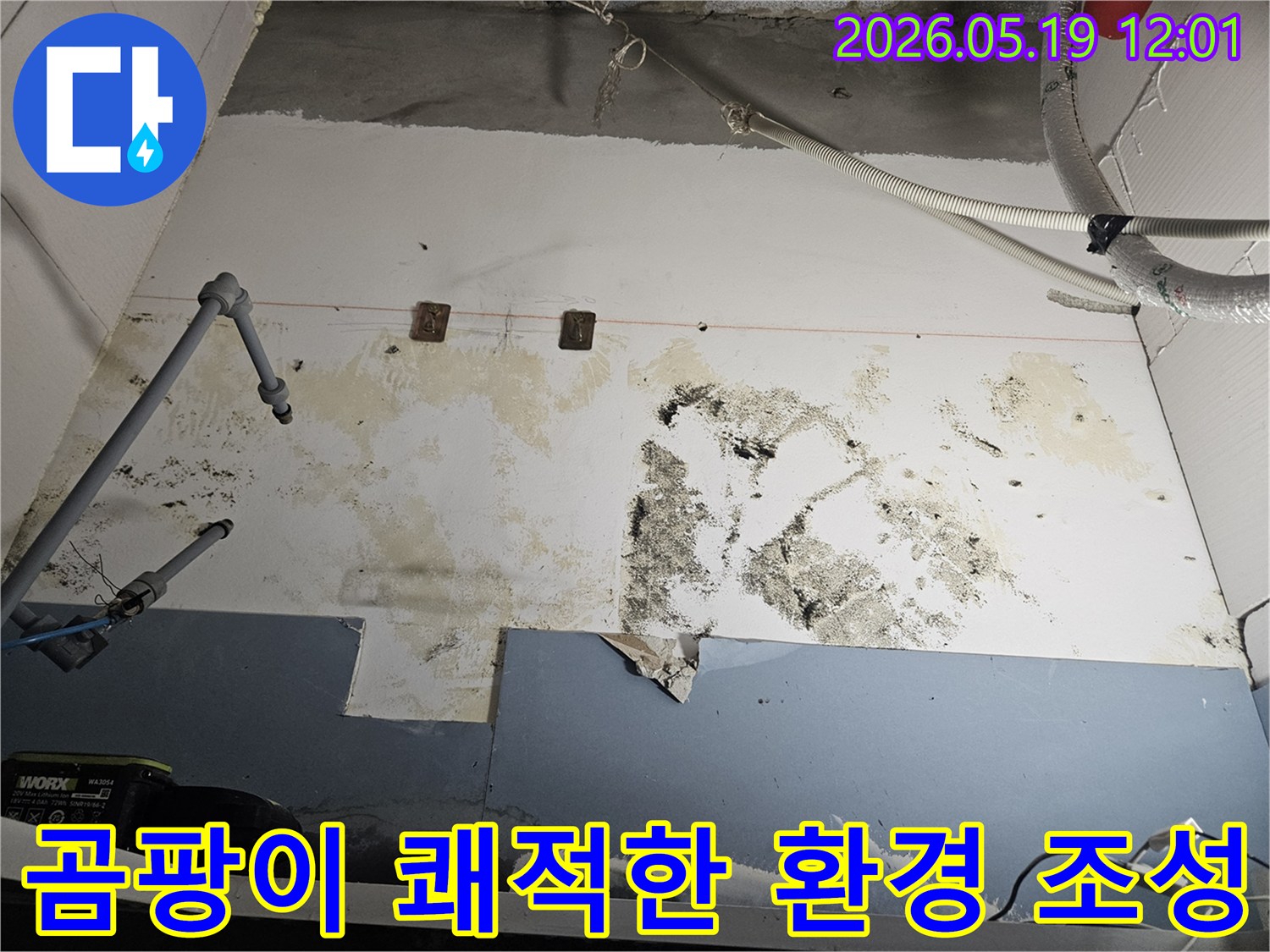 누수로-인해-벽면에-발생한-곰팡이-오염을-제거하고-쾌적한-환경을-조성하는-과정을-설명하는-사진