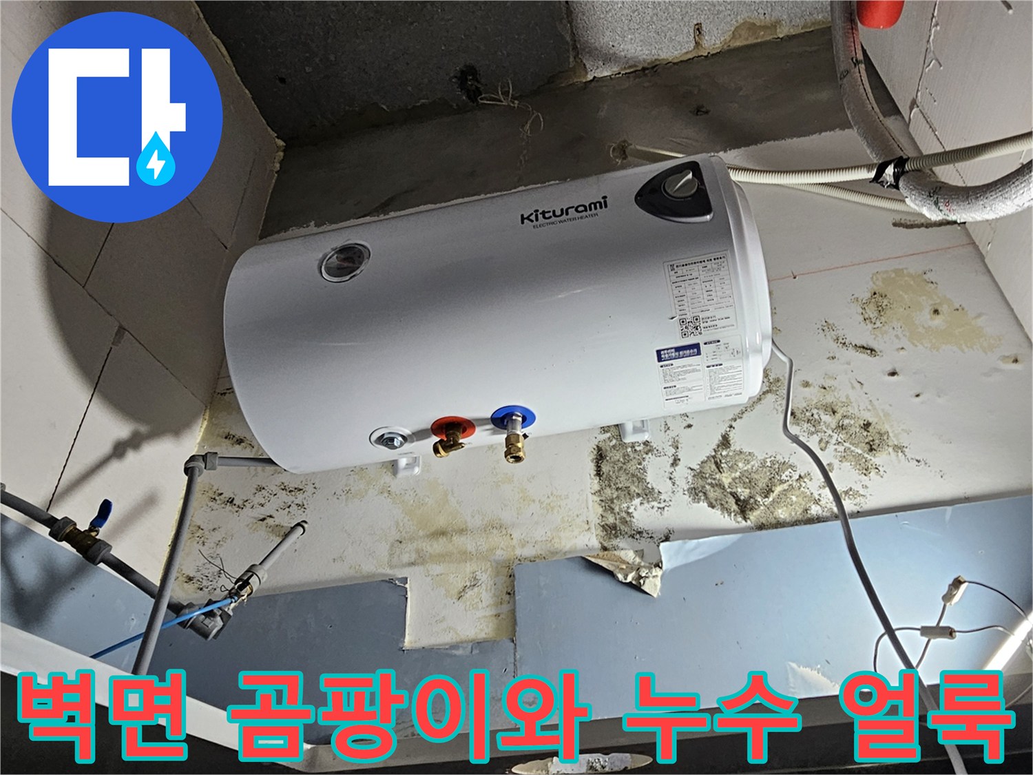 배관-주변-벽면의-심한-습기와-곰팡이-발생