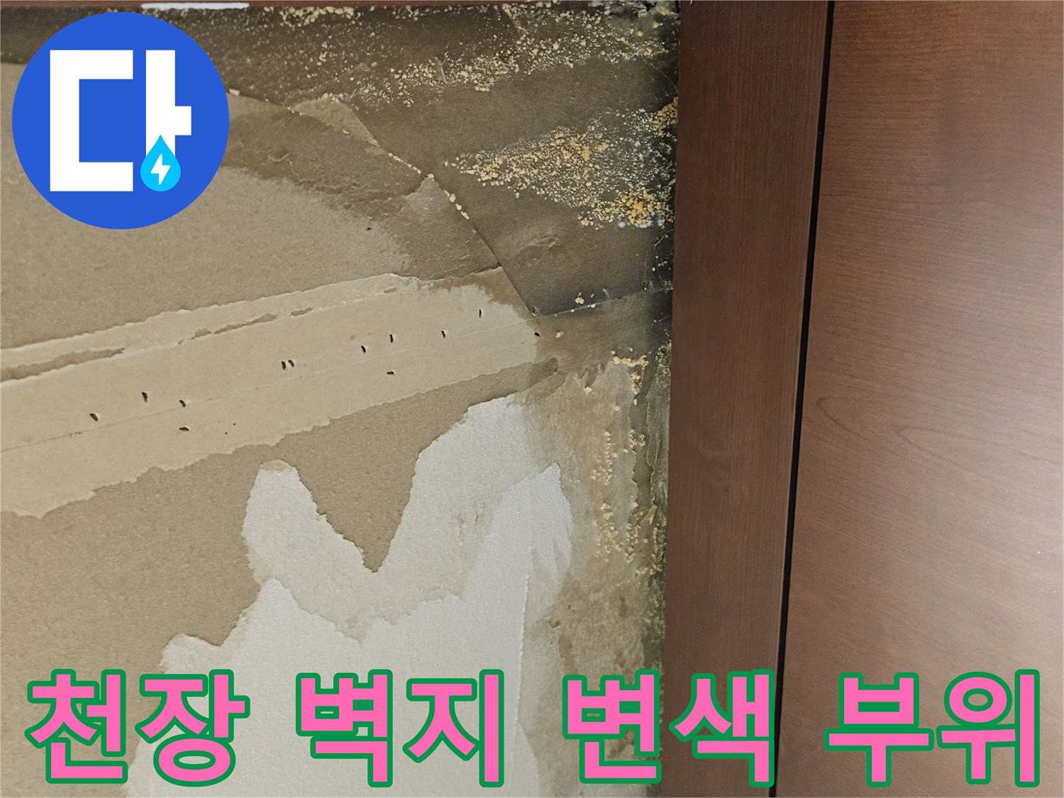 드레스룸 천장 가구 경계면의 젖은 벽지 상태