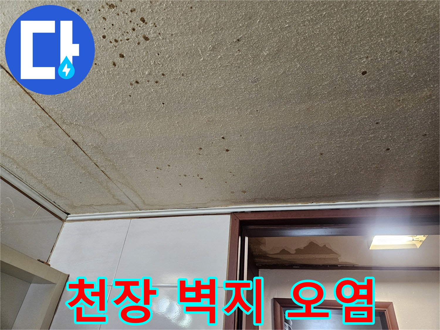 드레스룸 천장-벽지가 젖어 발생한 곰팡이 얼룩
