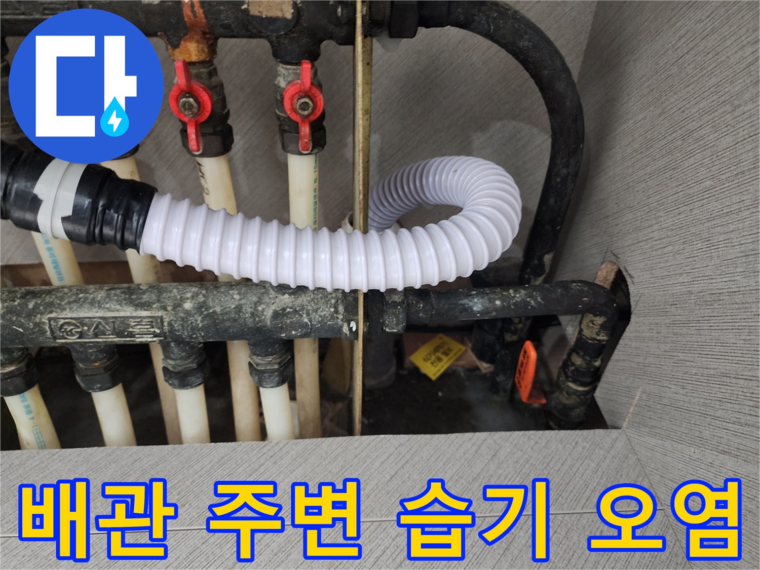 상가-내부-배수-배관의-습윤한-상태-기록