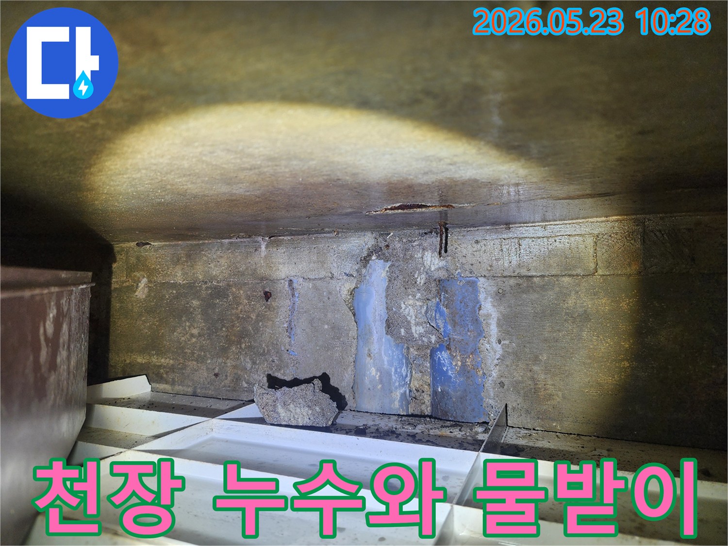 어두운-지하-공간의-천장에서-물이-새고-있으며-바닥에-물받이가-놓인-누수-현장