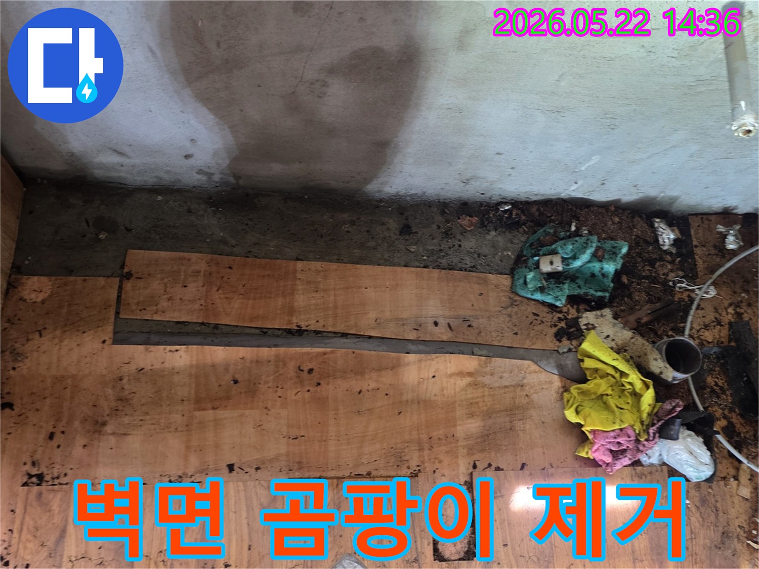누수로 인해 발생한 벽면 곰팡이를 제거하고 쾌적한 환경을 조성하는 작업