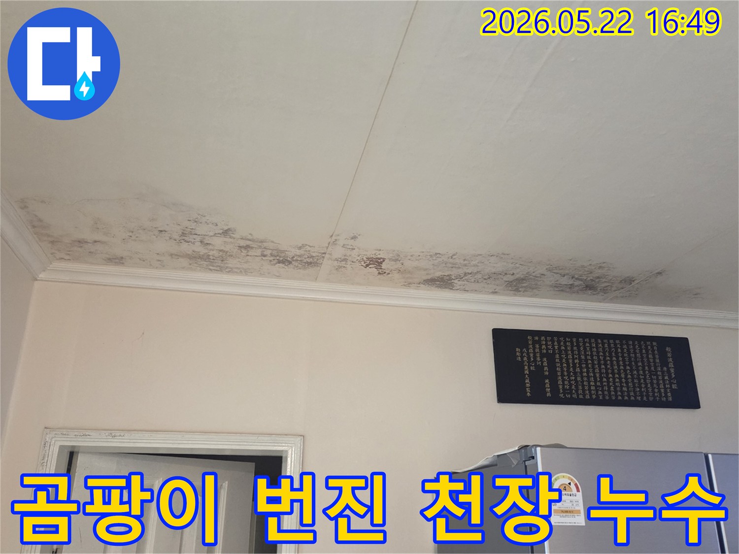 누수 전문가가-천장의 곰팡이와-물 자국을-진단하기 위해-촬영한 현장 사진입니다