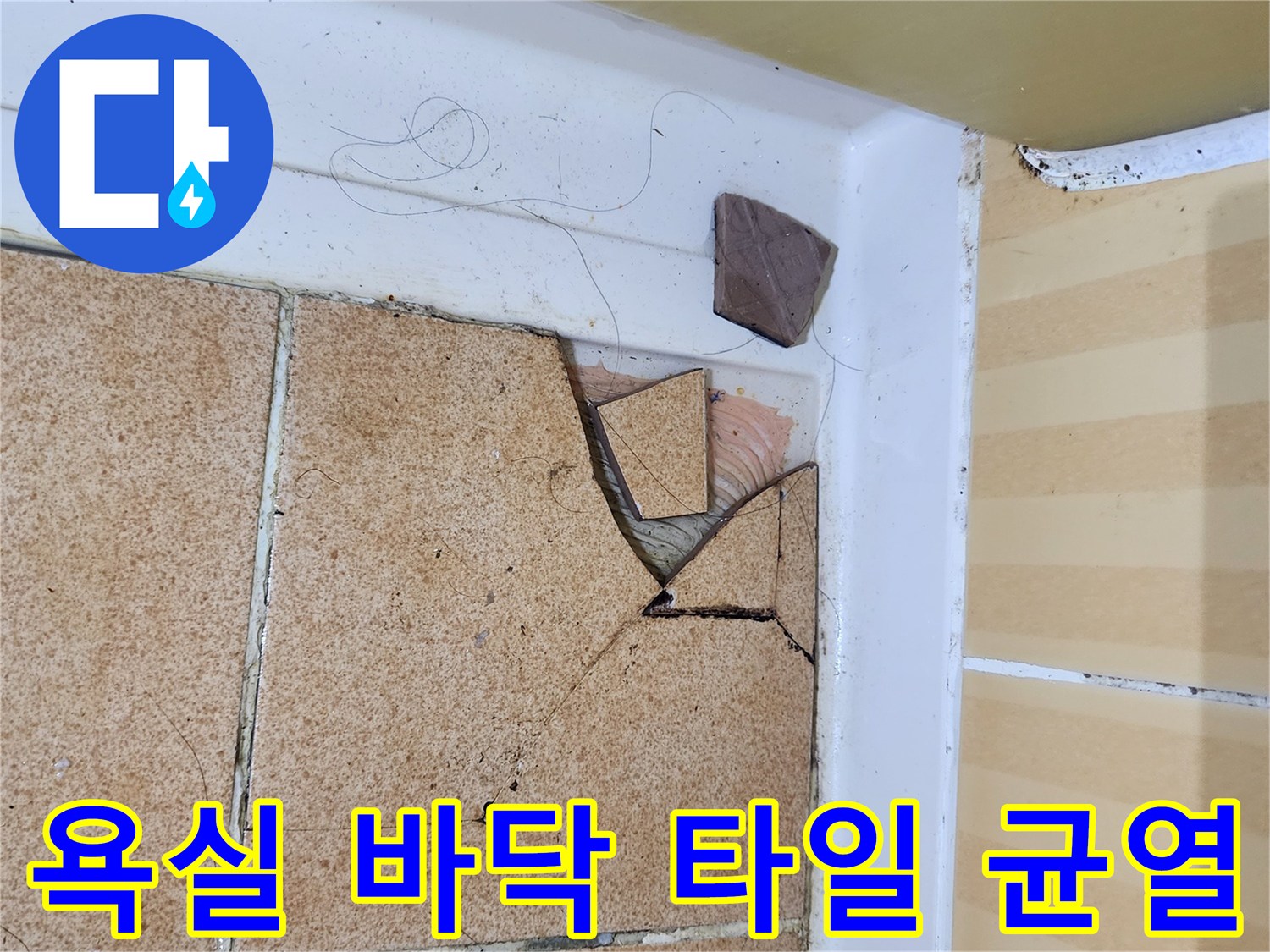 벌어진-타일-사이의-틈과-깨진-파편