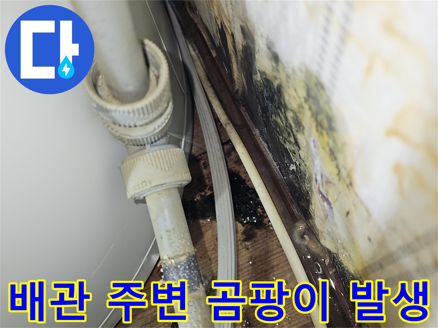 배관 연결 소켓 근처의 곰팡이와 습기 현황