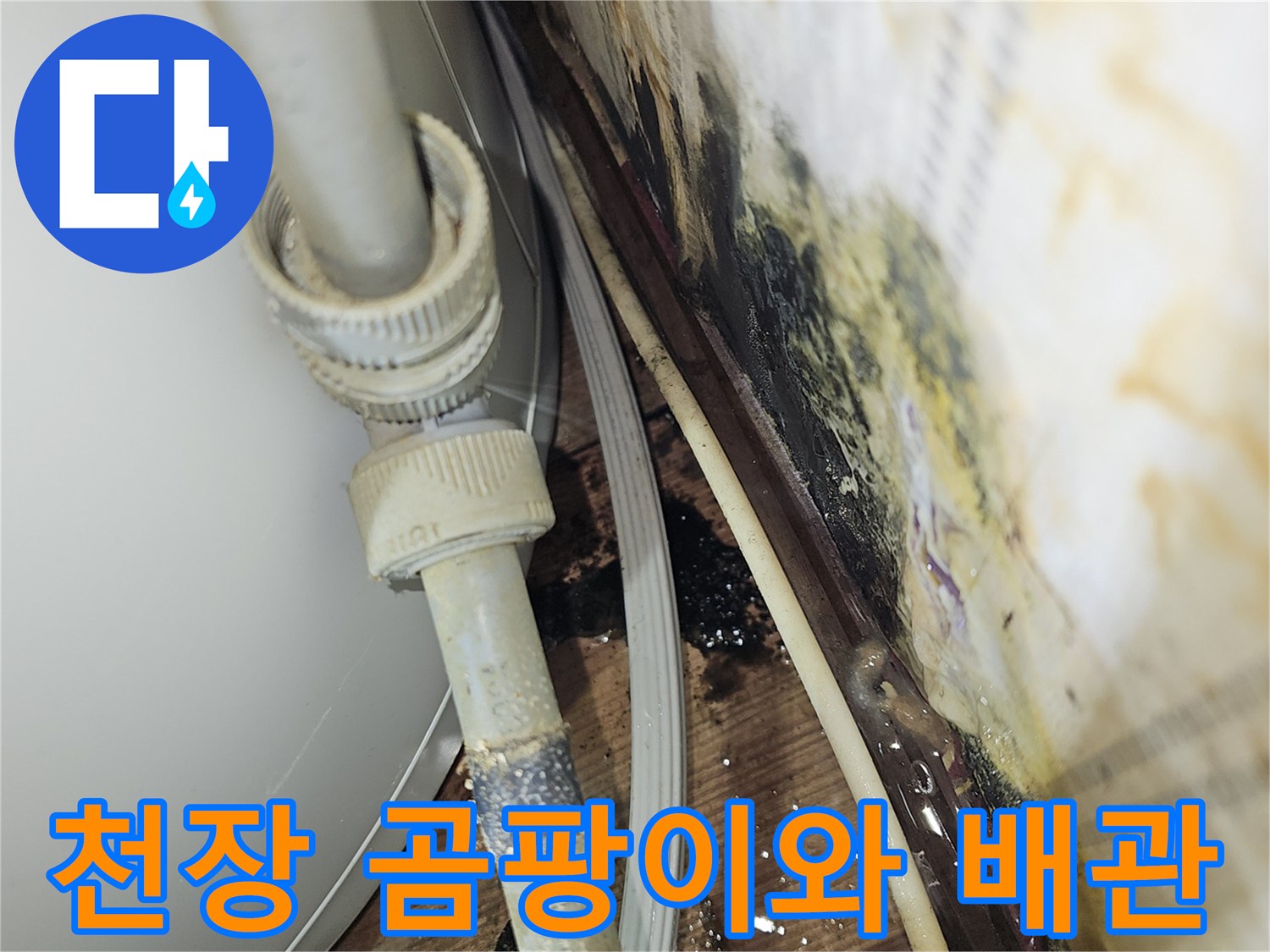 여의도 상가 천장의 곰팡이와 물방울이 맺힌 배관 모습
