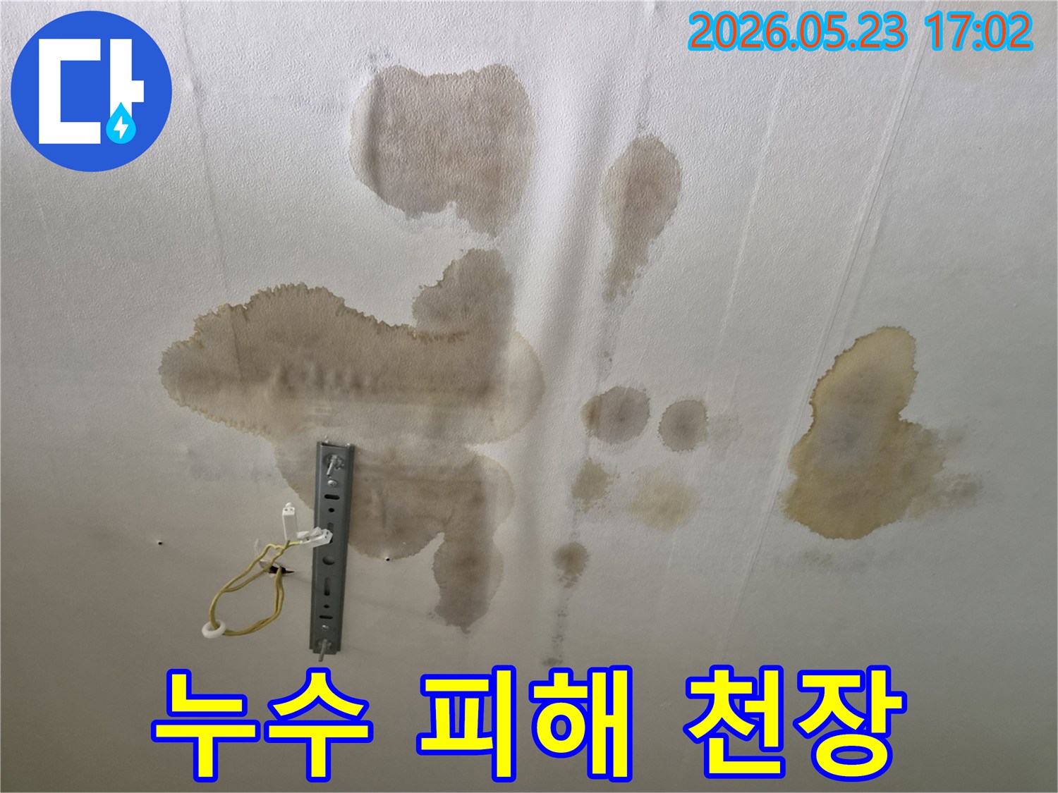 천장 조명 주변으로 번진 물 얼룩-누수 지점을 찾아야 하는 상황