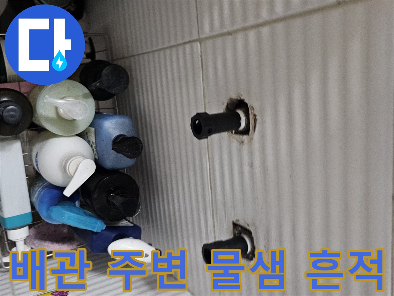 천장 타일 사이로 드러난 검은색 배관과 습기 머금은 부위