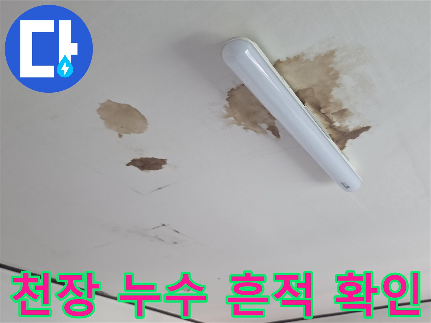 형광등 주변으로 넓게 번진 천장 누수 변색 부위