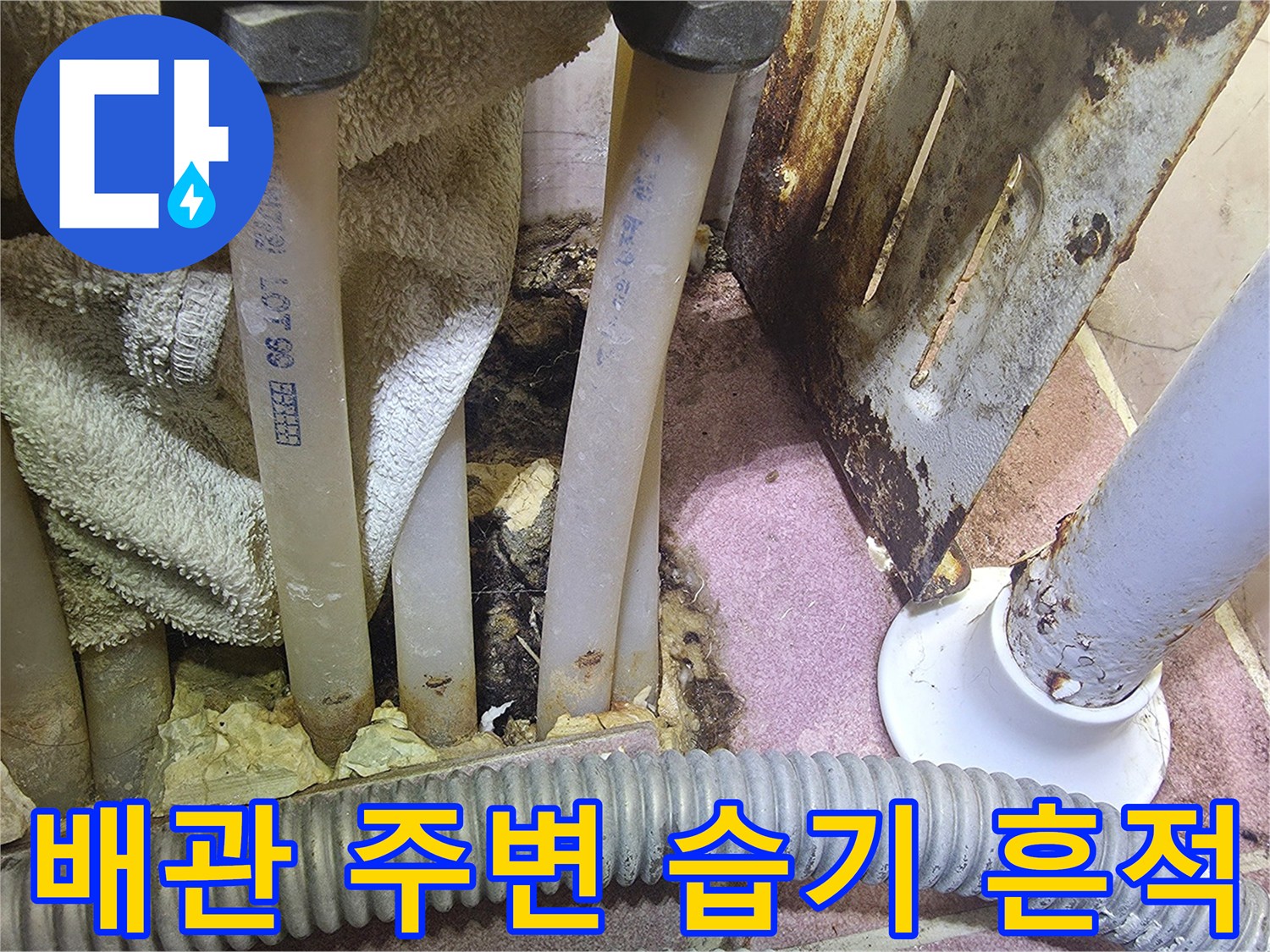 싱크대 하부 배관 - 물샘 현상으로 인해 젖어있는 바닥과 배관 부위