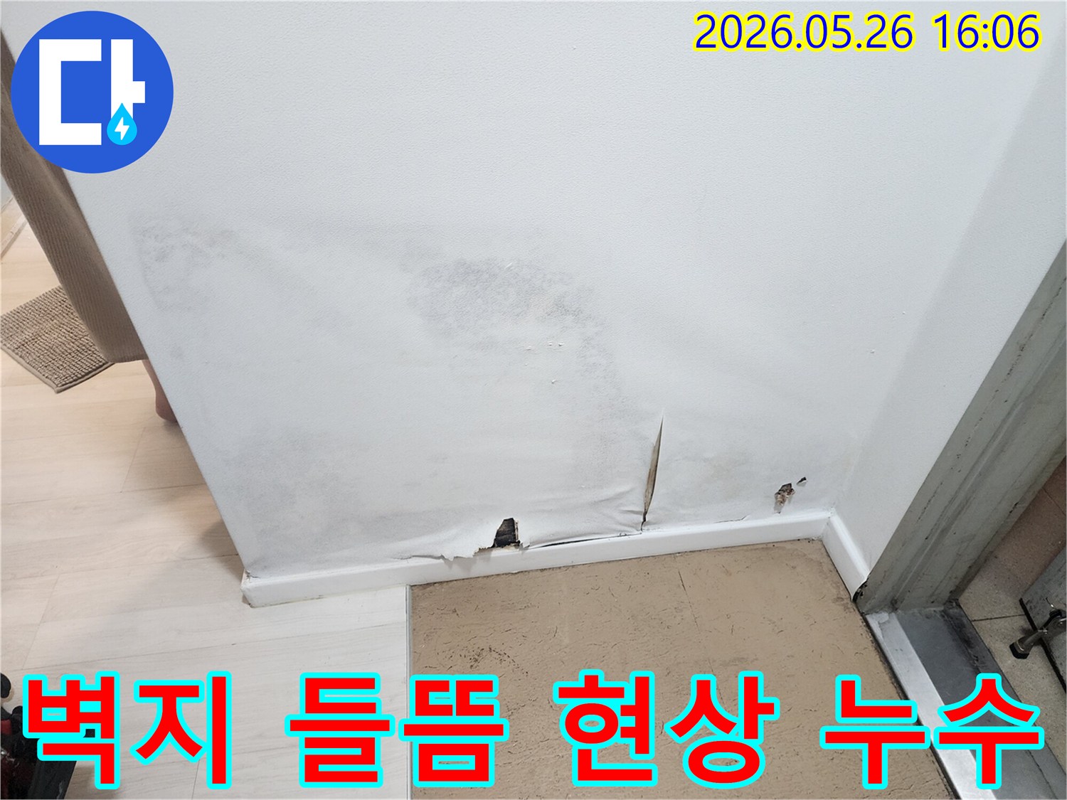 벽지-하단이-젖어-찢어지고-곰팡이가-번진-누수-발생-벽면