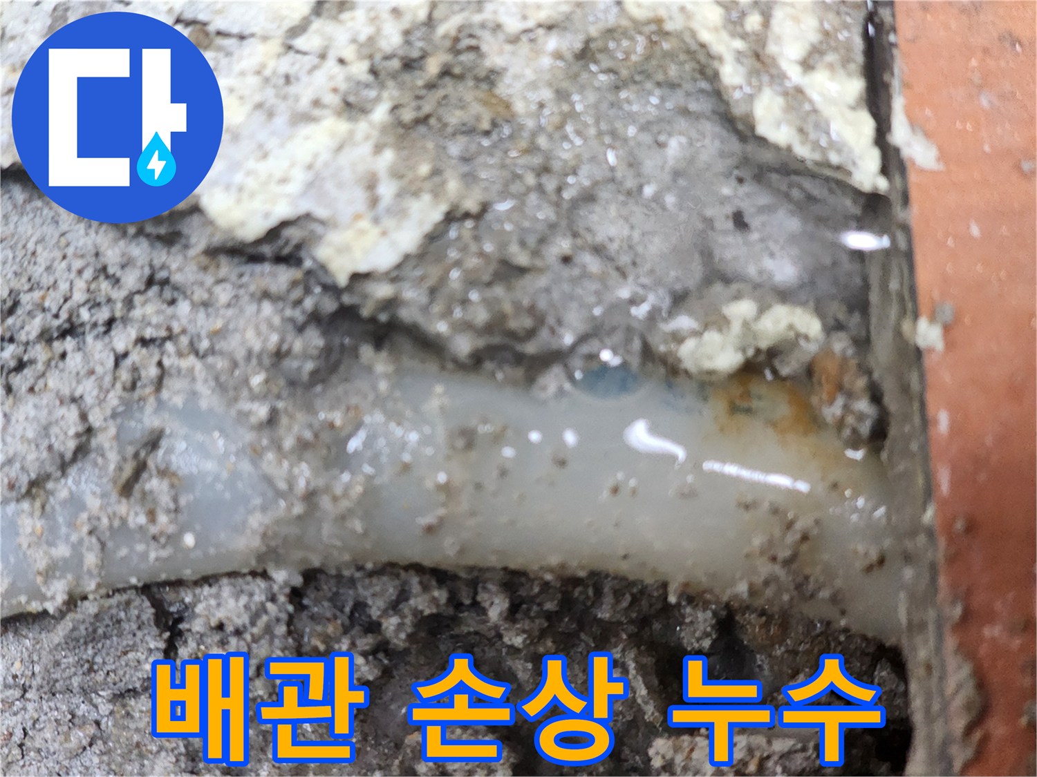 누수-전문가가-발견한-배관-손상으로-인한-누수-현장입니다