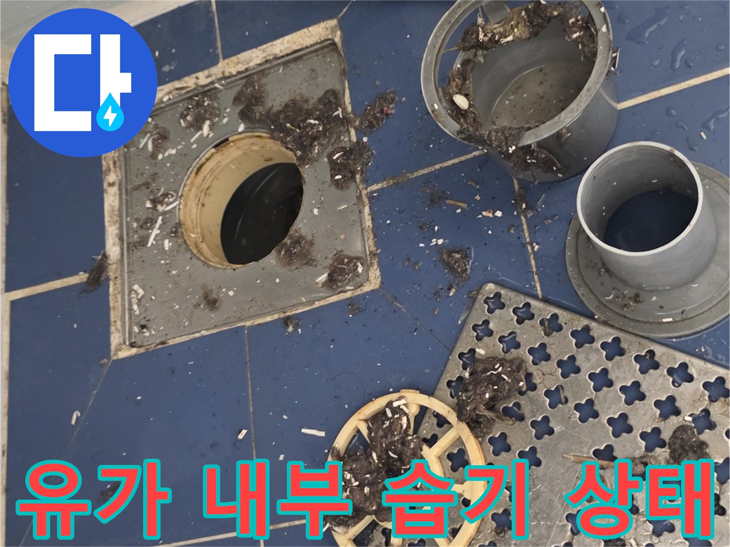 배수구-유가-및-분리된-거름망-주변-오염물질-사진