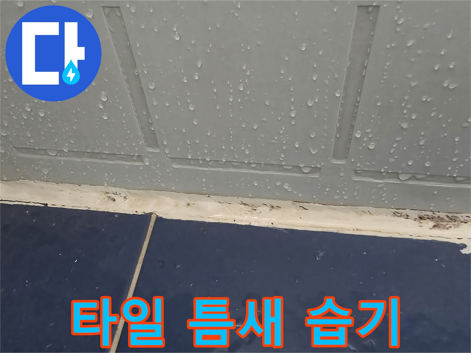 욕실-벽면-타일-경계-부위-물기-맺힘