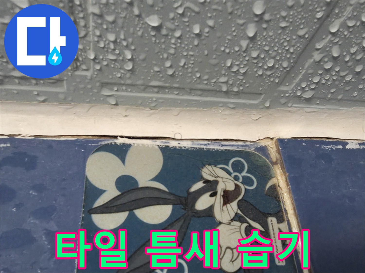 욕실-타일-경계-부위의-습기-맺힘-상태
