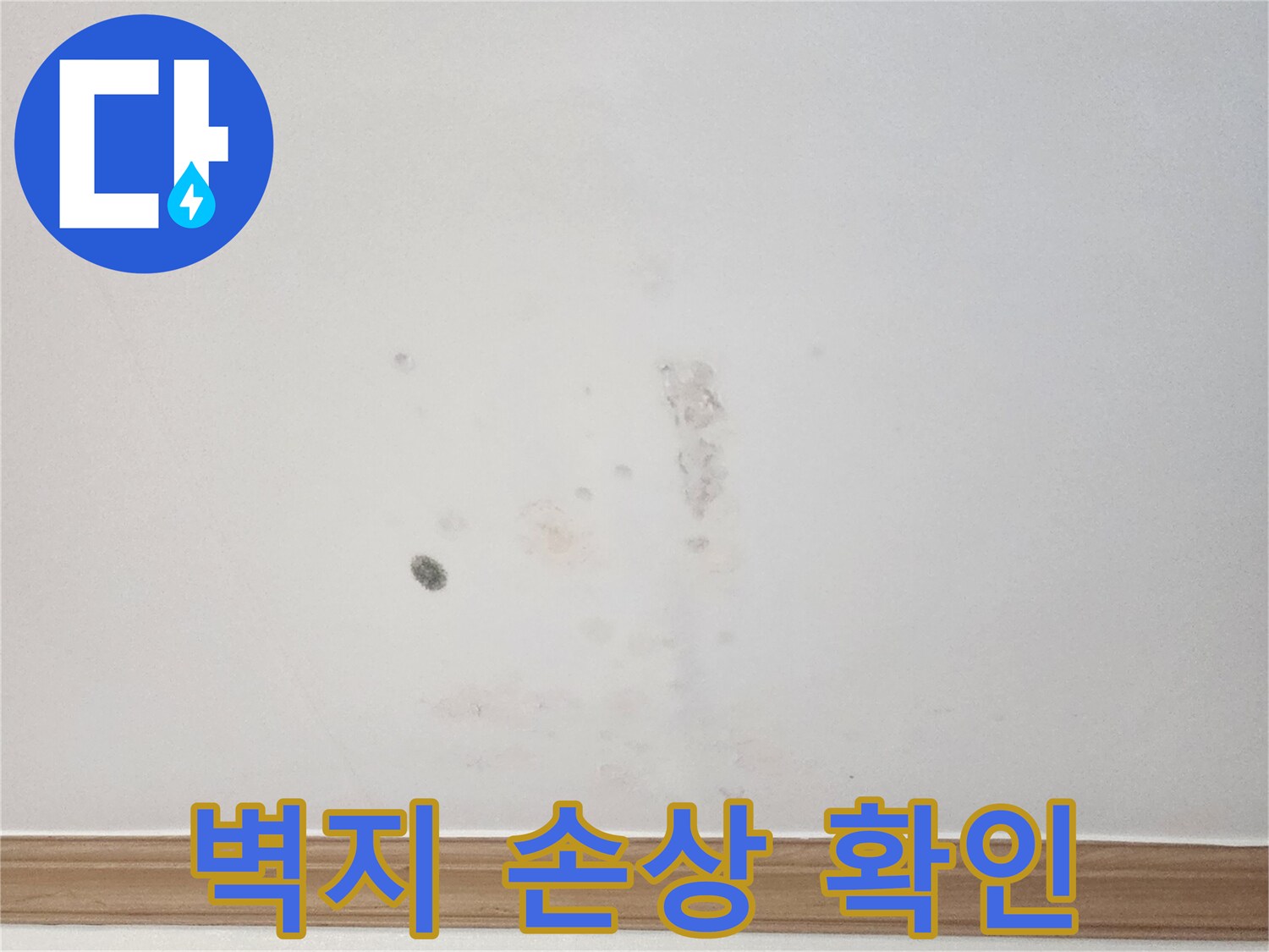 아파트 벽지에 발생한 누수로 인한-손상 흔적을-누수 전문가가-원인 규명과 복구를 위해-세밀하게 관찰하는 모습