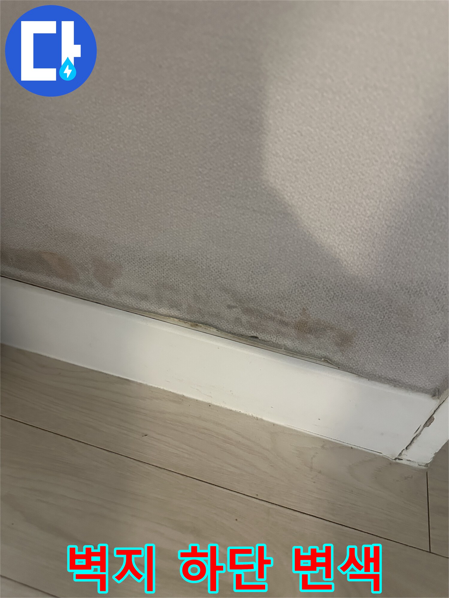 서대문구 아파트 벽면 하단부의 곰팡이와 벽지 변색 상태