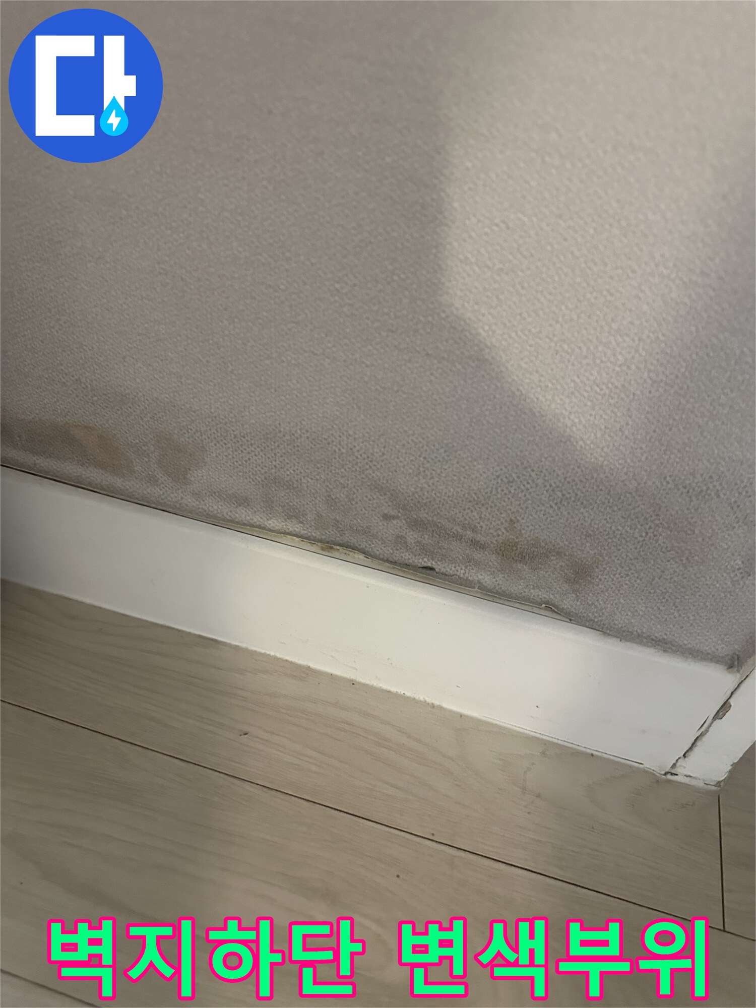 서대문구 아파트 벽면 하단에 발생한 벽지 변색 및 곰팡이 상태