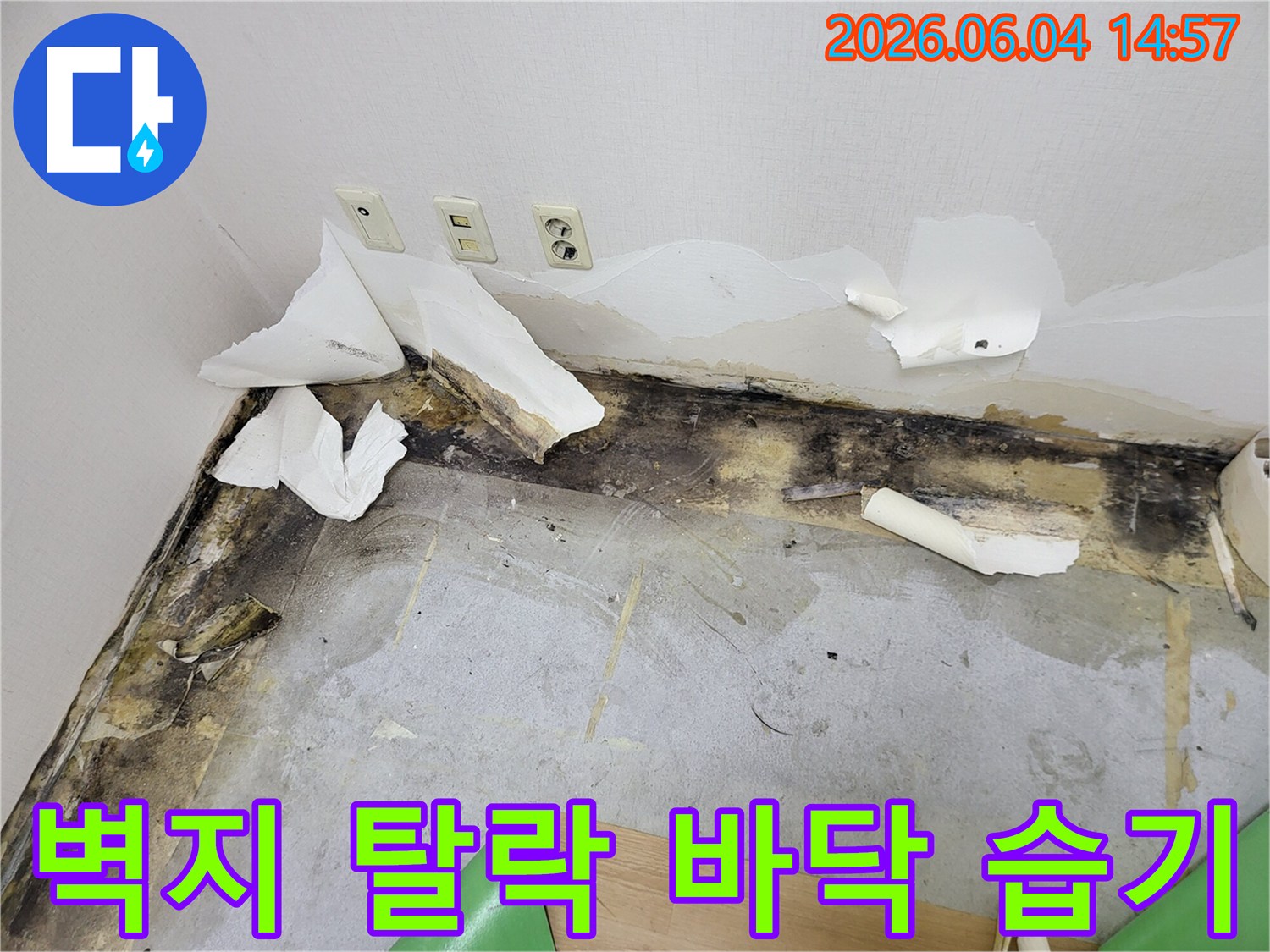 누수로 인해 벽지가 뜯겨져 나가고-벽면과 바닥에 검은 곰팡이가 심하게 피어난-주택 내부의 손상된 모습을 보여주는 사진
