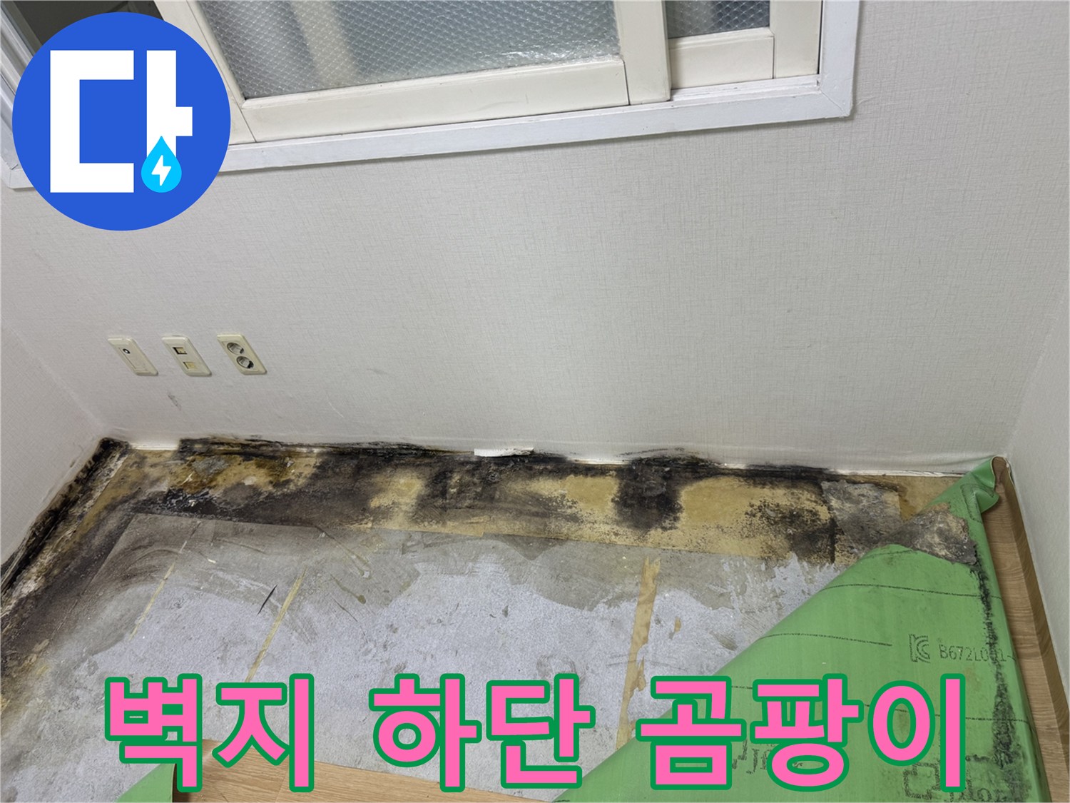 습기로 인해 부식되고 곰팡이가 발생한 벽면 하단부