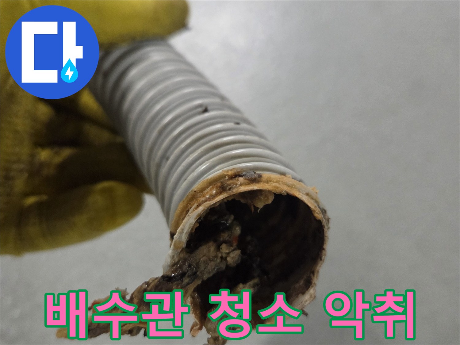 노란색 장갑을 낀 손이-악취 제거를 위해-청소 전 오염된 배수관을 보여줍니다.
