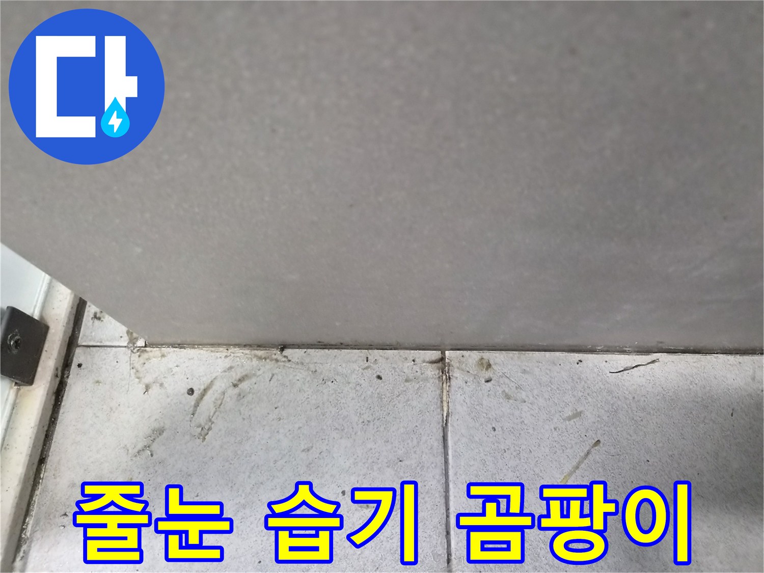 타일-줄눈에-발생한-습기와-곰팡이로-인한-누수-문제