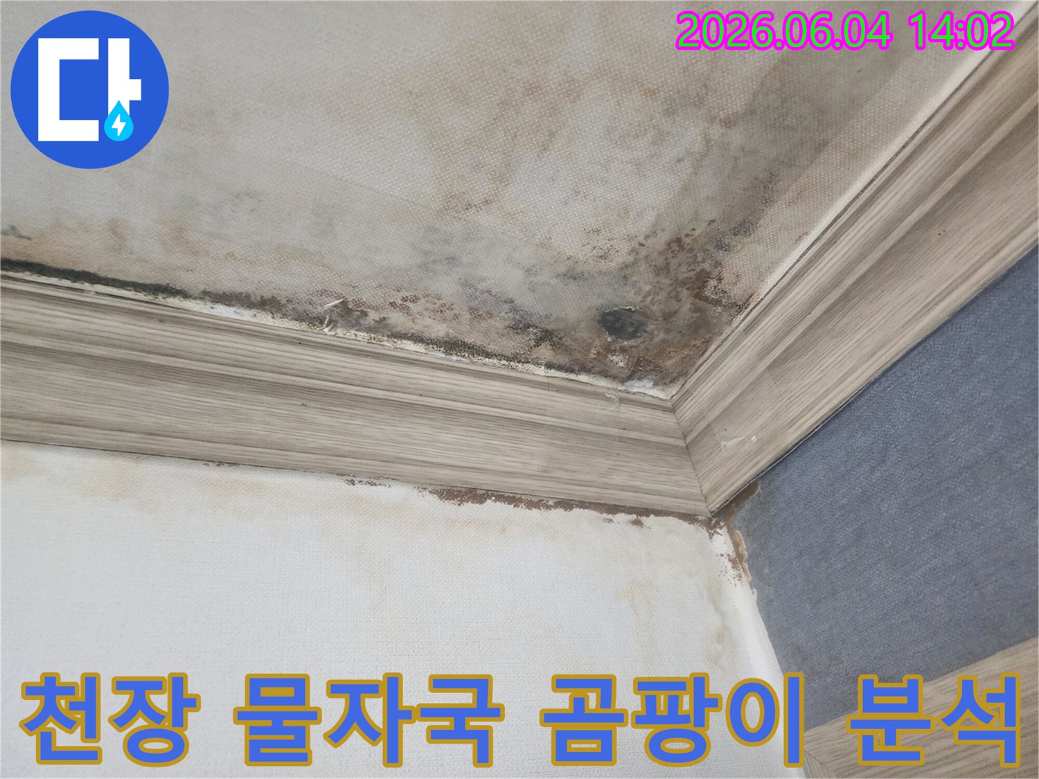 주택 천장과 벽의 경계면에-누수로 인한 물자국과-검은 곰팡이가 넓게 퍼져있는-피해 현장의 상세 이미지