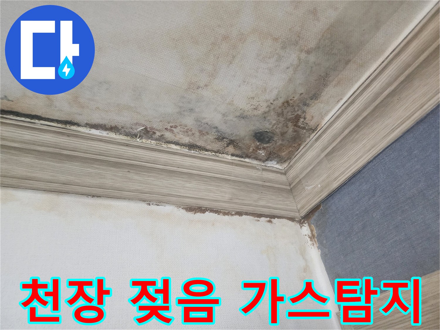평택 빌라 천장이 젖고-곰팡이가 발생한 현장에서-가스탐지기를 사용하여-미세한 누수 원인을 파악하고 있습니다.
