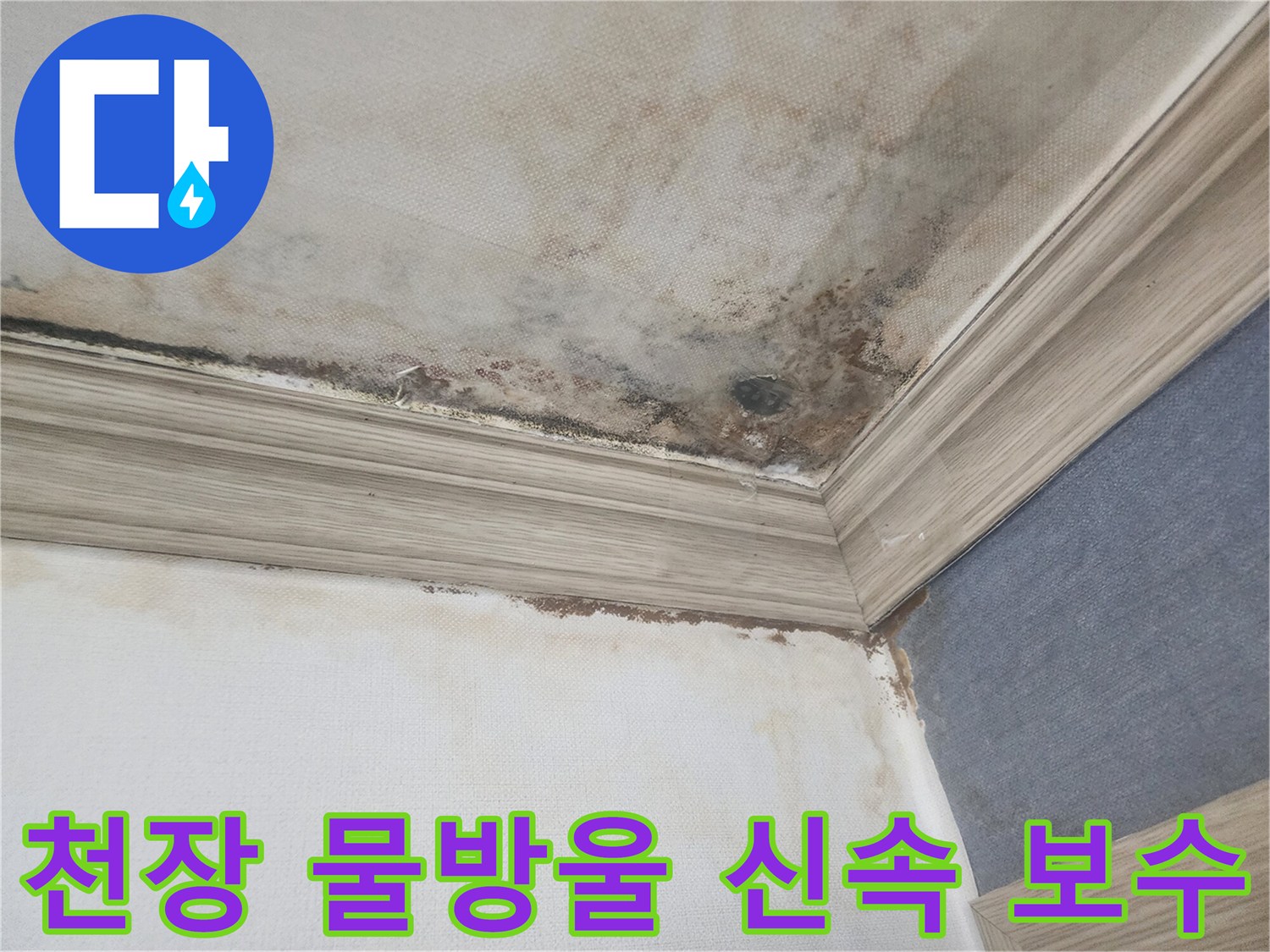 평택 아파트 천장에서 지속적으로 물방울이 떨어지고-곰팡이가 번진 현장은-신속한 누수 보수가 시급함을 보여줍니다.