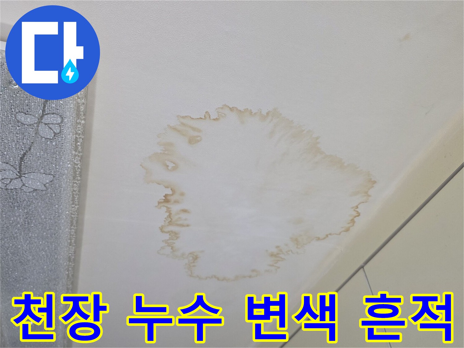 주방 천장에 발생한 갈색 누수 얼룩 부위