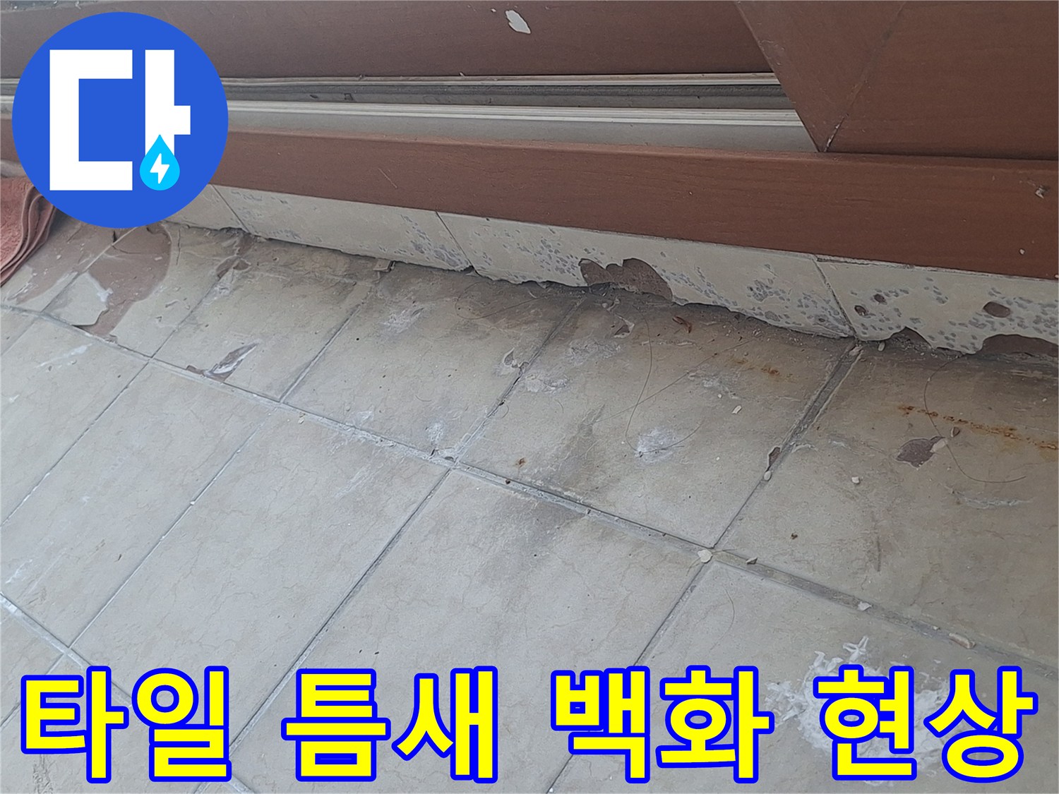 베란다 타일 줄눈 부위의 하얀 가루와 벽면 마감재 손상 부위