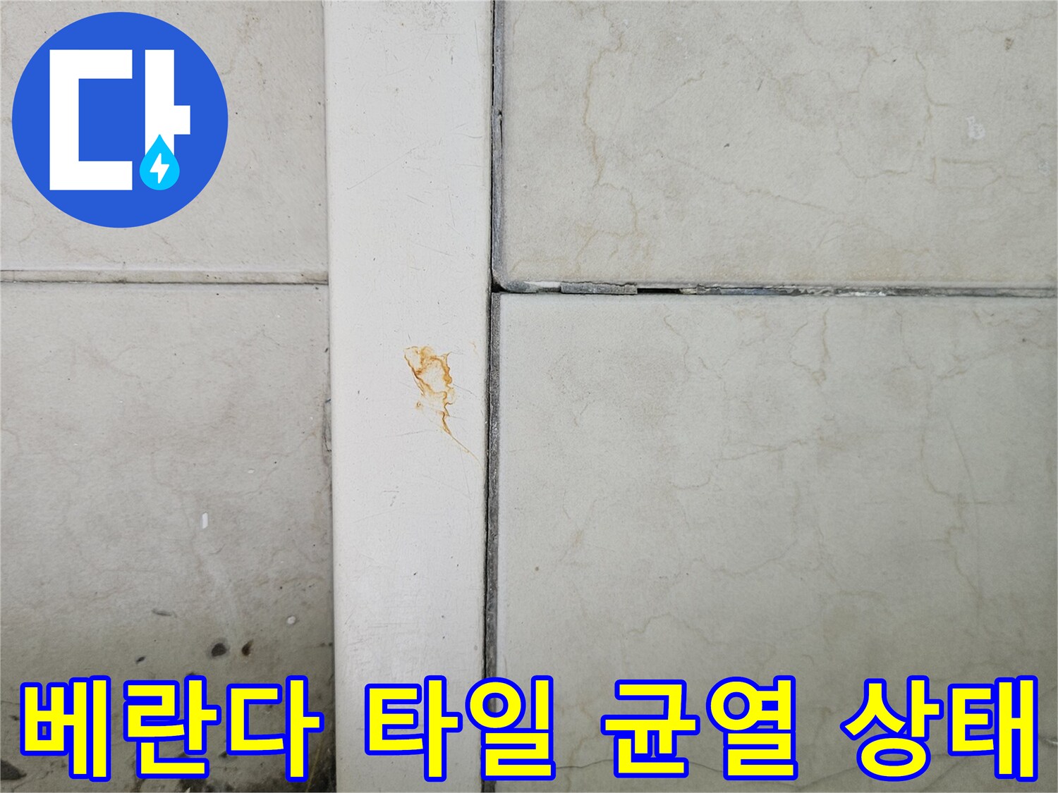 양주 아파트 베란다 타일 사이의 백화 현상과 미세한 균열 상태를 보여주는 사진